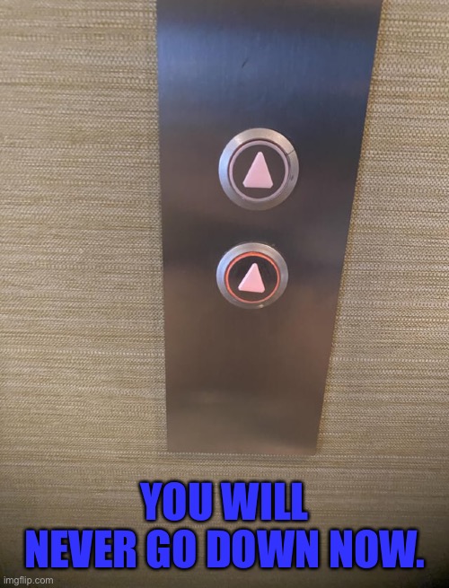 You will never go back down now >:D | YOU WILL NEVER GO DOWN NOW. | image tagged in memes,funny,you had one job | made w/ Imgflip meme maker