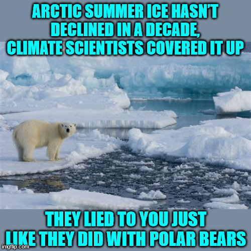Another climate change scam lie revealed... | ARCTIC SUMMER ICE HASN’T DECLINED IN A DECADE, CLIMATE SCIENTISTS COVERED IT UP; THEY LIED TO YOU JUST LIKE THEY DID WITH POLAR BEARS | image tagged in climate change,scam | made w/ Imgflip meme maker