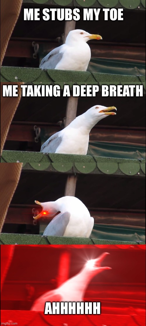 Inhaling Seagull Meme | ME STUBS MY TOE; ME TAKING A DEEP BREATH; AHHHHHH | image tagged in memes,inhaling seagull | made w/ Imgflip meme maker