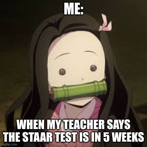 A confused Nezuko | ME:; WHEN MY TEACHER SAYS THE STAAR TEST IS IN 5 WEEKS | image tagged in a confused nezuko | made w/ Imgflip meme maker
