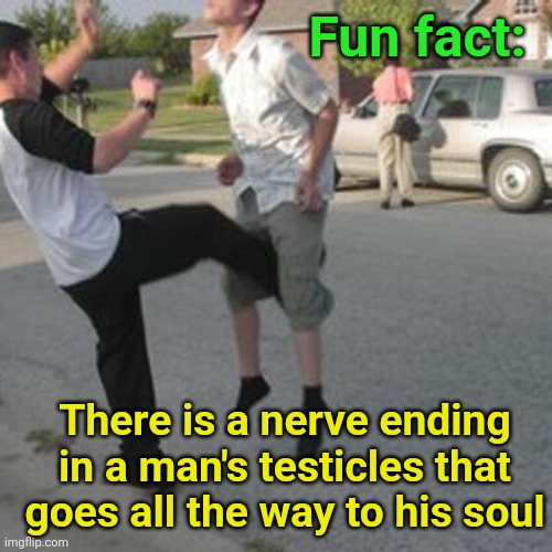 More Fun Facts | Fun fact:; There is a nerve ending in a man's testicles that goes all the way to his soul | image tagged in kicked in the balls,fun fact,soul,funny memes | made w/ Imgflip meme maker