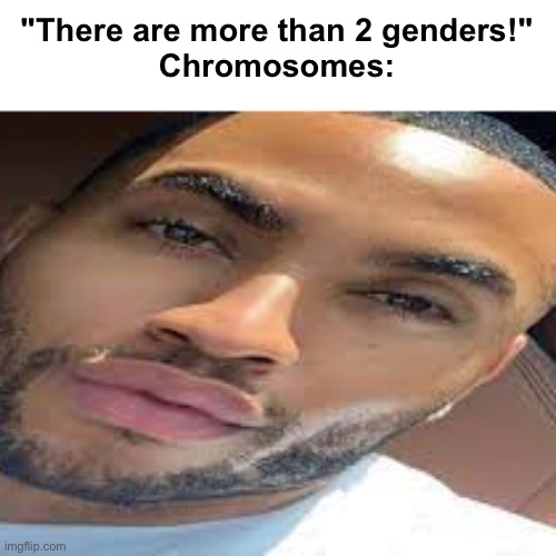 lightskin stare | "There are more than 2 genders!"
Chromosomes: | image tagged in lightskin stare | made w/ Imgflip meme maker