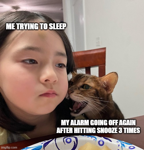 ME TRYING TO SLEEP; MY ALARM GOING OFF AGAIN AFTER HITTING SNOOZE 3 TIMES | made w/ Imgflip meme maker