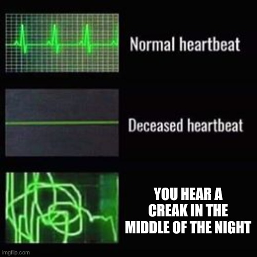 tell me its not true | YOU HEAR A CREAK IN THE MIDDLE OF THE NIGHT | image tagged in heartbeat rate | made w/ Imgflip meme maker