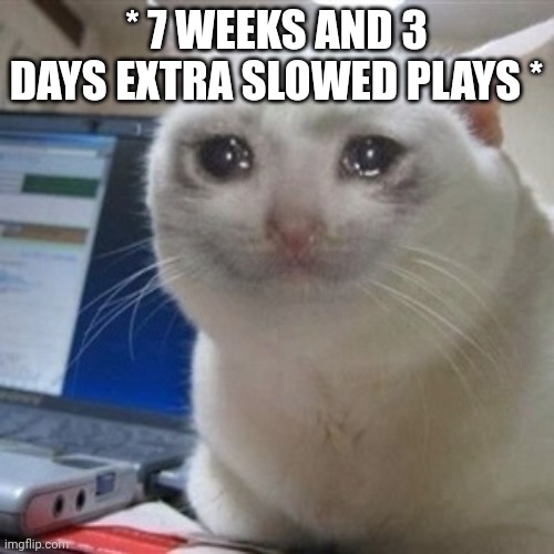 Crying cat | * 7 WEEKS AND 3 DAYS EXTRA SLOWED PLAYS * | image tagged in crying cat | made w/ Imgflip meme maker