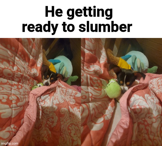 Sorry i haven't been on for a while | He getting ready to slumber | made w/ Imgflip meme maker