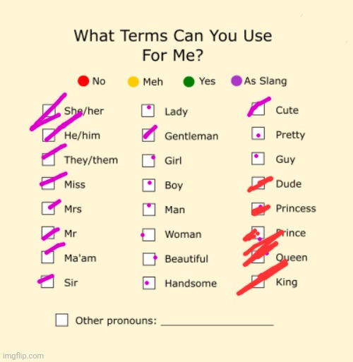 IDK what to do so I did this. | image tagged in pronouns sheet | made w/ Imgflip meme maker