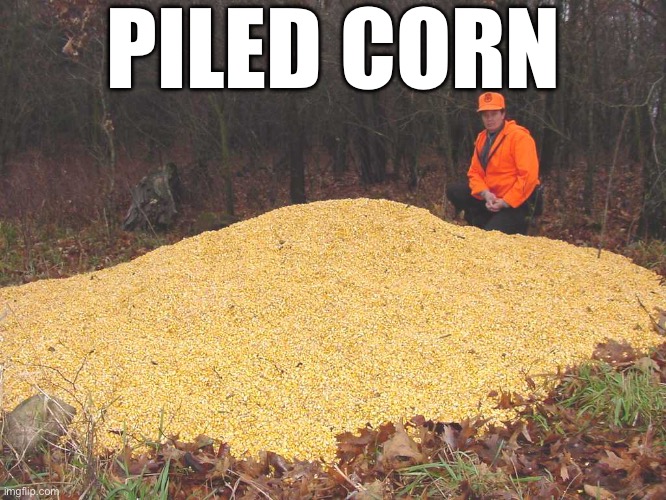 PILED CORN | made w/ Imgflip meme maker