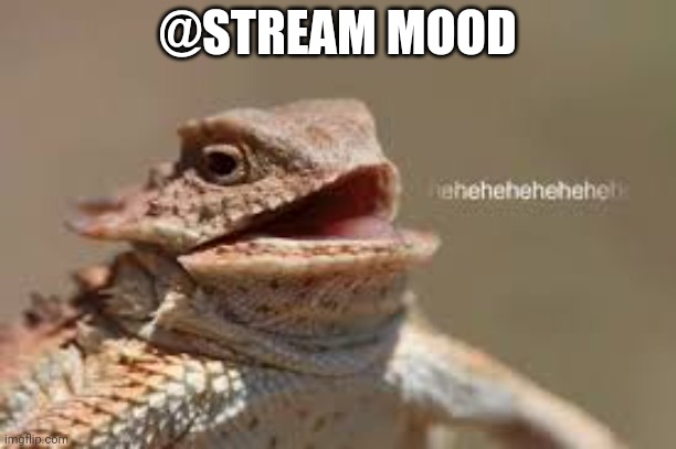 heheheheh dragon | @STREAM MOOD | image tagged in heheheheh dragon | made w/ Imgflip meme maker