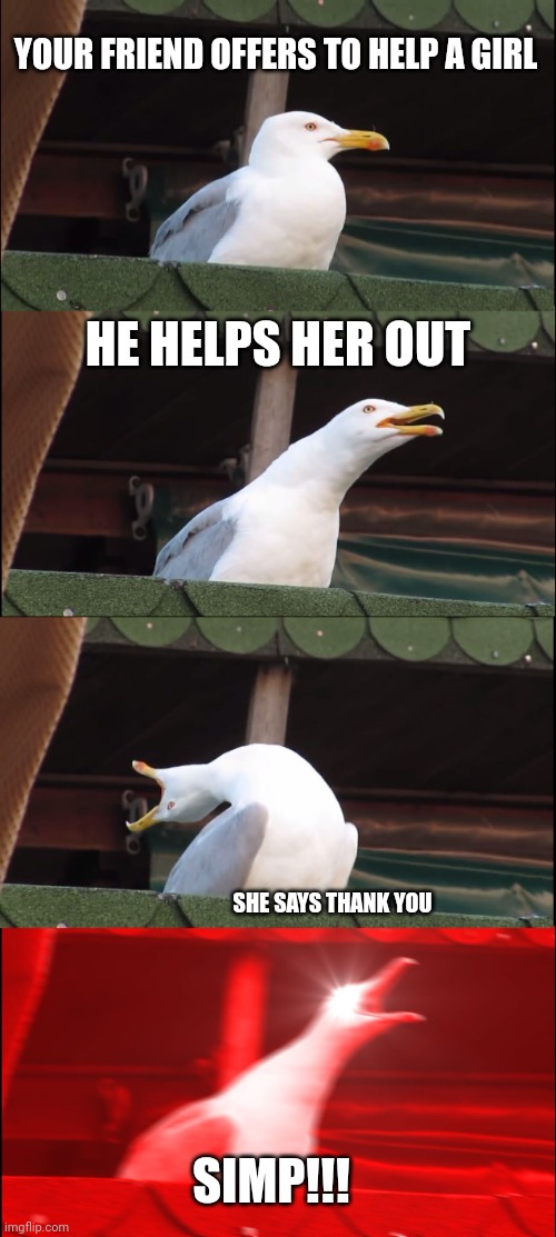 Inhaling Seagull | YOUR FRIEND OFFERS TO HELP A GIRL; HE HELPS HER OUT; SHE SAYS THANK YOU; SIMP!!! | image tagged in memes,inhaling seagull | made w/ Imgflip meme maker