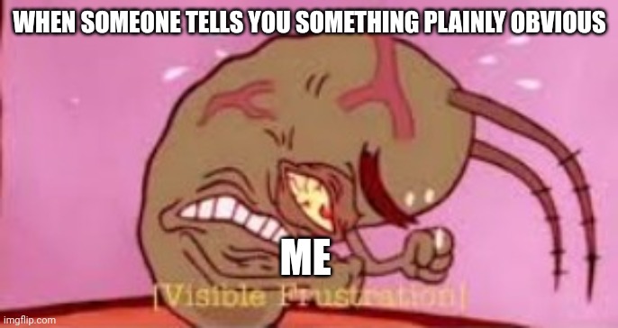 Isn't that a little obvious!!!! | WHEN SOMEONE TELLS YOU SOMETHING PLAINLY OBVIOUS; ME | image tagged in visible frustration | made w/ Imgflip meme maker