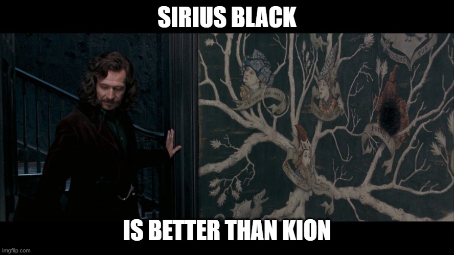 Used in comment | SIRIUS BLACK; IS BETTER THAN KION | image tagged in sirius black | made w/ Imgflip meme maker