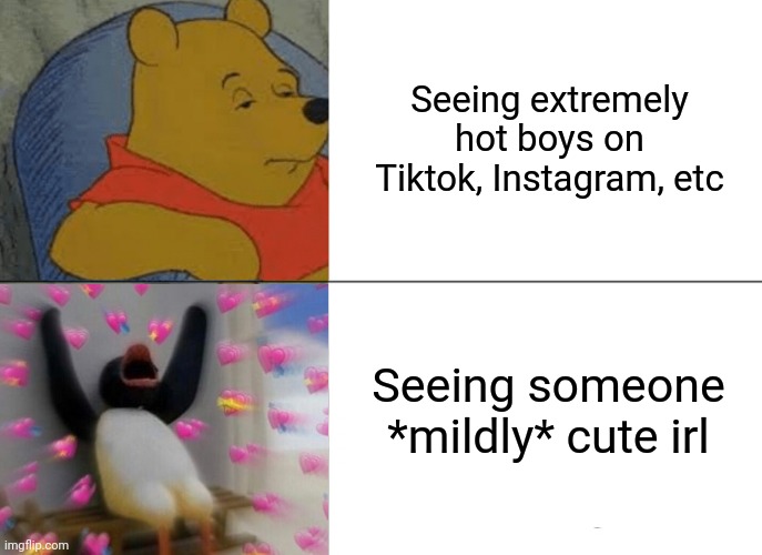 Tuxedo Winnie The Pooh | Seeing extremely hot boys on Tiktok, Instagram, etc; Seeing someone *mildly* cute irl | image tagged in memes,tuxedo winnie the pooh | made w/ Imgflip meme maker