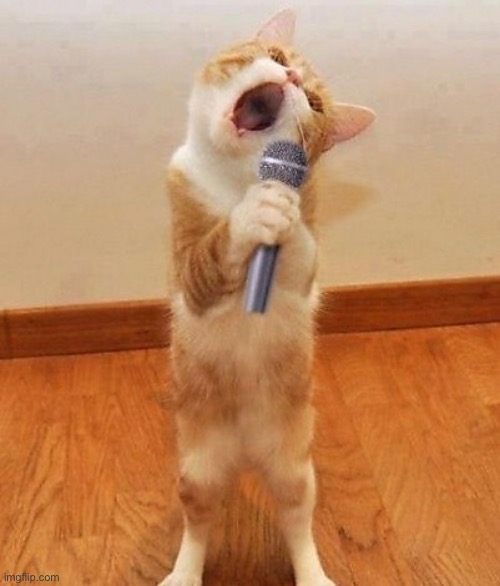 singing cat to distract yall from 3/27! :D | image tagged in happy birthday day maureeeennn from the singing cat | made w/ Imgflip meme maker