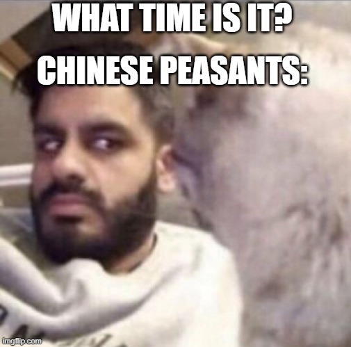 what time is it | WHAT TIME IS IT? CHINESE PEASANTS: | image tagged in cat | made w/ Imgflip meme maker