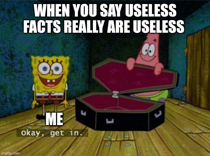 Not all useless facts are actually useless | WHEN YOU SAY USELESS FACTS REALLY ARE USELESS; ME | image tagged in spongebob coffin | made w/ Imgflip meme maker