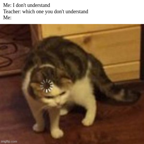 everything | Me: I don't understand
Teacher: which one you don't understand
Me: | image tagged in loading cat,school | made w/ Imgflip meme maker