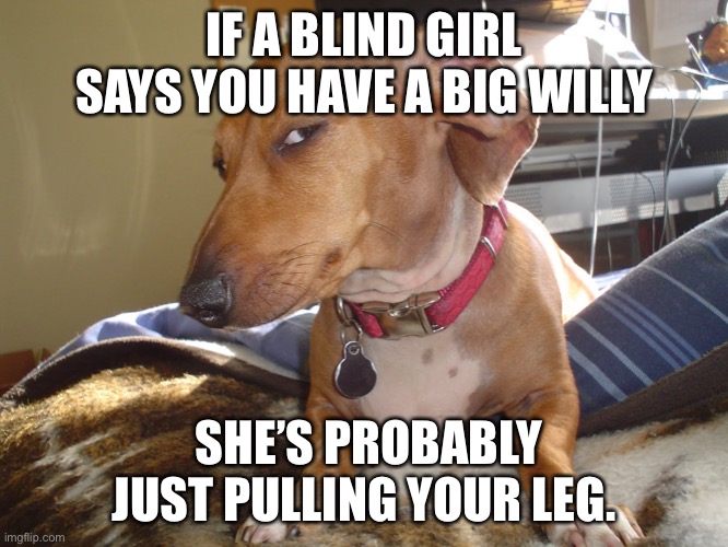 Suspicious Dog | IF A BLIND GIRL SAYS YOU HAVE A BIG WILLY; SHE’S PROBABLY JUST PULLING YOUR LEG. | image tagged in suspicious dog | made w/ Imgflip meme maker