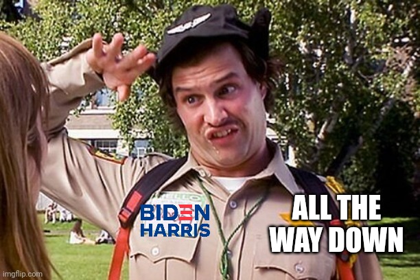 Special Officer Doofy | ALL THE WAY DOWN | image tagged in special officer doofy | made w/ Imgflip meme maker