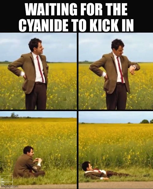 You know | WAITING FOR THE CYANIDE TO KICK IN | image tagged in mr bean waiting | made w/ Imgflip meme maker