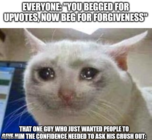 Welp- | EVERYONE: "YOU BEGGED FOR UPVOTES, NOW BEG FOR FORGIVENESS"; THAT ONE GUY WHO JUST WANTED PEOPLE TO GIVE HIM THE CONFIDENCE NEEDED TO ASK HIS CRUSH OUT: | image tagged in sad cat | made w/ Imgflip meme maker