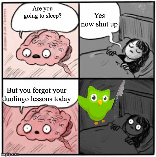 Brain Before Sleep | Yes now shut up; Are you going to sleep? But you forgot your duolingo lessons today | image tagged in brain before sleep | made w/ Imgflip meme maker