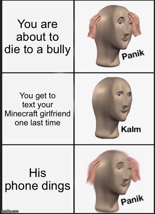 Scary if your homeschooled | You are about to die to a bully; You get to text your Minecraft girlfriend one last time; His phone dings | image tagged in memes,panik kalm panik | made w/ Imgflip meme maker