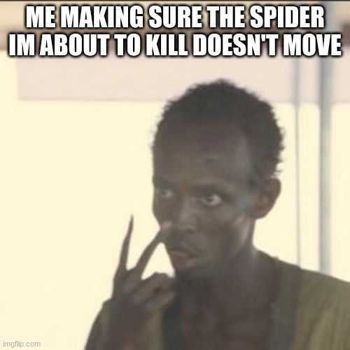 I can't sleep at night knowing its roaming free | ME MAKING SURE THE SPIDER IM ABOUT TO KILL DOESN'T MOVE | image tagged in memes,look at me | made w/ Imgflip meme maker