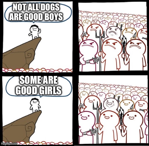 Preaching to the mob | NOT ALL DOGS ARE GOOD BOYS; SOME ARE GOOD GIRLS | image tagged in preaching to the mob | made w/ Imgflip meme maker