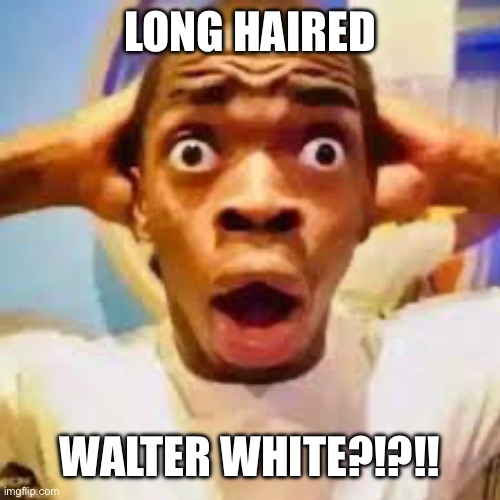 FR ONG?!?!? | LONG HAIRED WALTER WHITE?!?!! | image tagged in fr ong | made w/ Imgflip meme maker