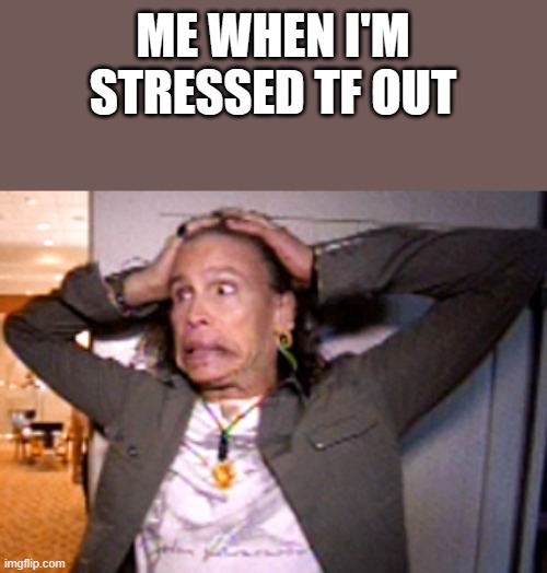 Me When I'm Stressed TF Out | ME WHEN I'M STRESSED TF OUT | image tagged in stressed,stressed out,stress,steven tyler,funny,memes | made w/ Imgflip meme maker