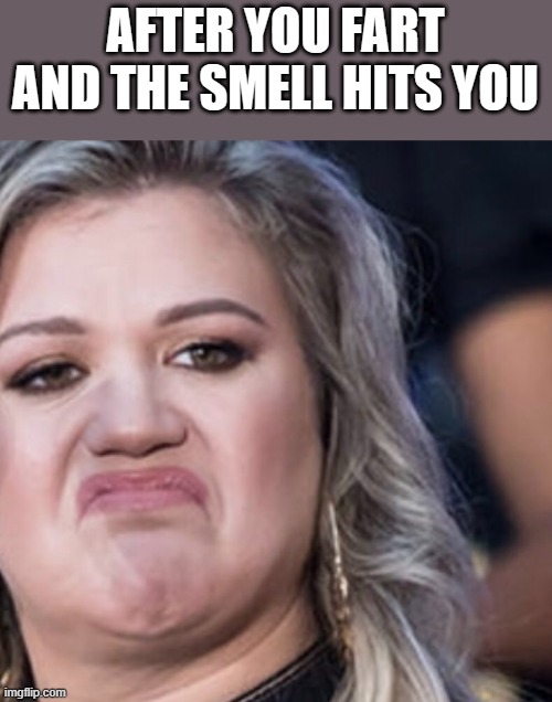 After You Fart And The Smell Hits You | AFTER YOU FART AND THE SMELL HITS YOU | image tagged in fart,farts,smell,kelly clarkson,funny,memes | made w/ Imgflip meme maker