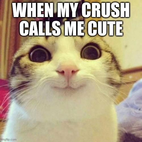 Smiling Cat | WHEN MY CRUSH CALLS ME CUTE | image tagged in memes,smiling cat | made w/ Imgflip meme maker