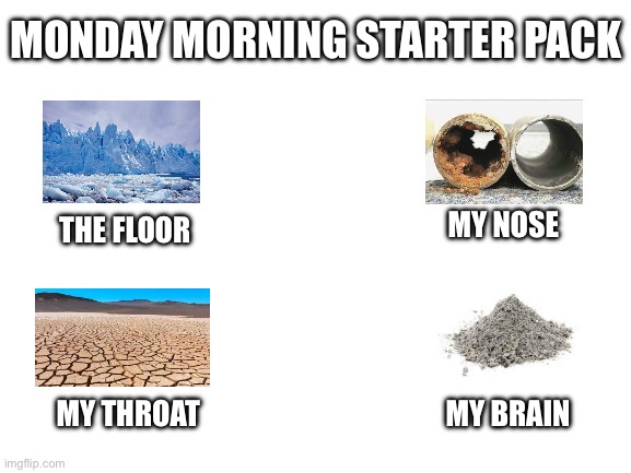 Blank White Template | MONDAY MORNING STARTER PACK; THE FLOOR; MY NOSE; MY THROAT; MY BRAIN | image tagged in blank white template | made w/ Imgflip meme maker
