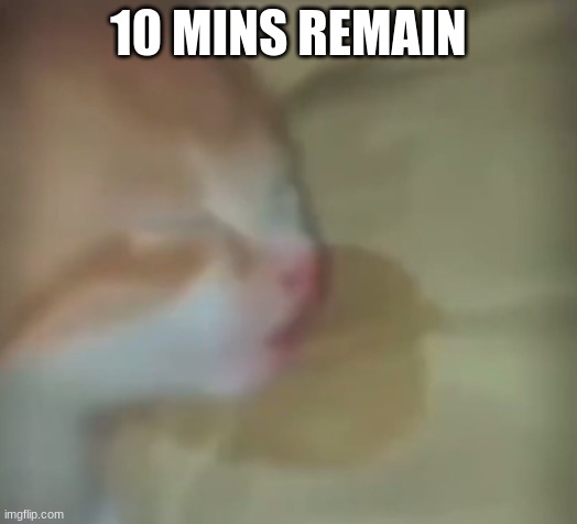 the sleeper | 10 MINS REMAIN | image tagged in the sleeper | made w/ Imgflip meme maker