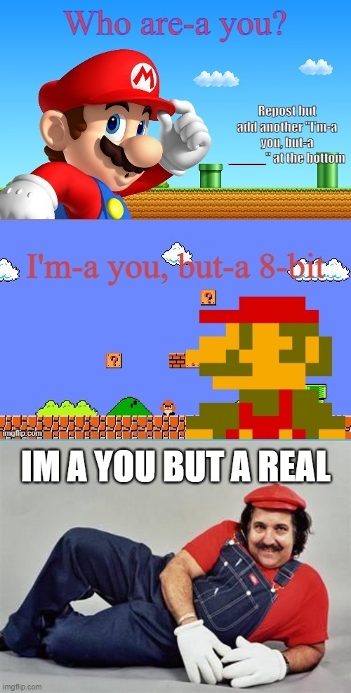 IM A YOU BUT A REAL | image tagged in pervert mario | made w/ Imgflip meme maker