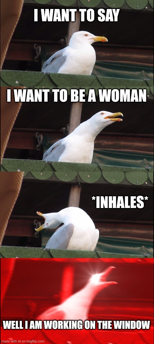 Inhaling Seagull | I WANT TO SAY; I WANT TO BE A WOMAN; *INHALES*; WELL I AM WORKING ON THE WINDOW | image tagged in memes,inhaling seagull | made w/ Imgflip meme maker