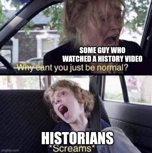 Why can't I watch a history video? | SOME GUY WHO WATCHED A HISTORY VIDEO; HISTORIANS | image tagged in why can't you just be normal,memes | made w/ Imgflip meme maker