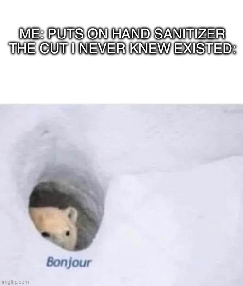 Bonjour | ME: PUTS ON HAND SANITIZER
THE CUT I NEVER KNEW EXISTED: | image tagged in bonjour,hand sanitizer,pain,true story | made w/ Imgflip meme maker