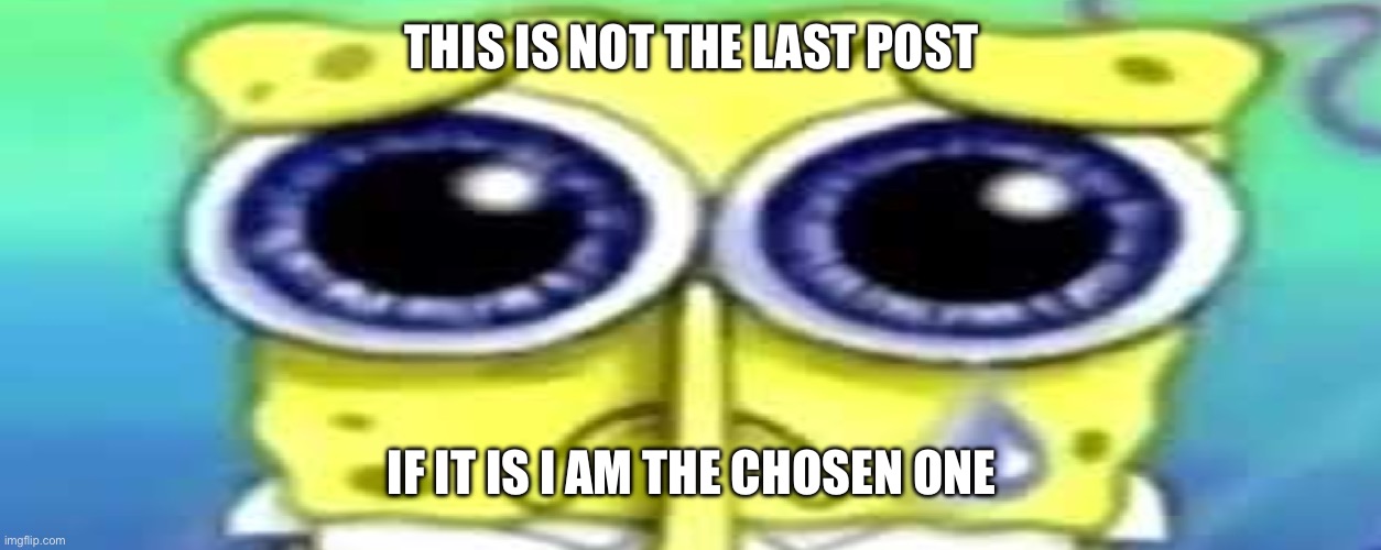 Rheheheh | THIS IS NOT THE LAST POST; IF IT IS I AM THE CHOSEN ONE | image tagged in sad spong,funy,mems | made w/ Imgflip meme maker