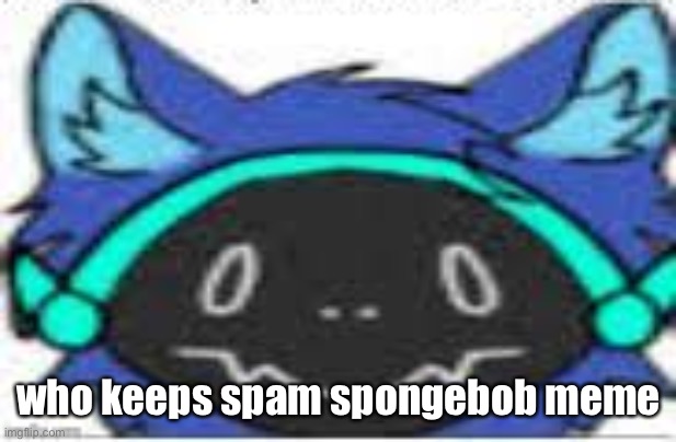 why | who keeps spam spongebob meme | image tagged in protogen peek | made w/ Imgflip meme maker