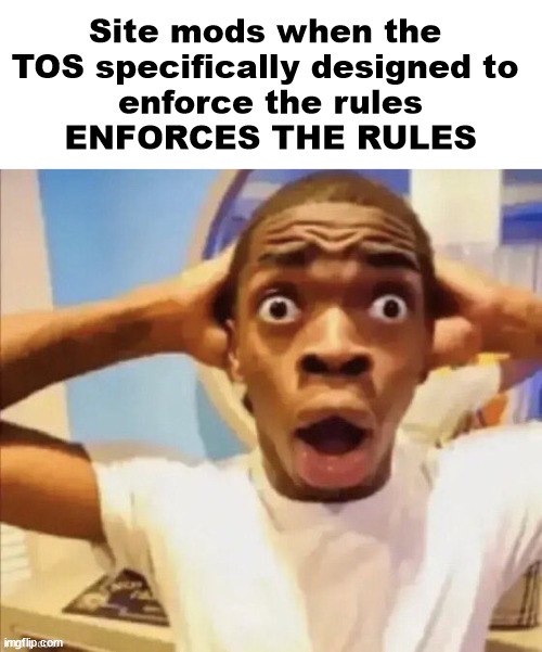 in shock | Site mods when the 
TOS specifically designed to 
enforce the rules
ENFORCES THE RULES | image tagged in in shock | made w/ Imgflip meme maker