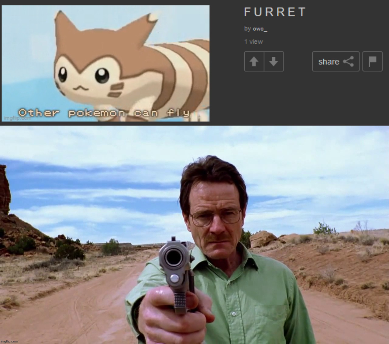 Don't bring back the furret trend | image tagged in walter white gun | made w/ Imgflip meme maker