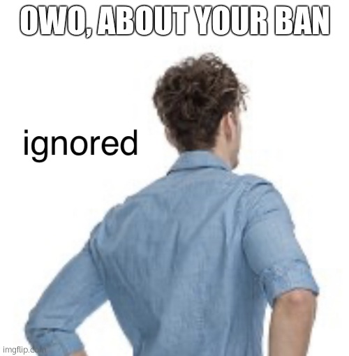 stfu furret lover | OWO, ABOUT YOUR BAN | image tagged in ignored | made w/ Imgflip meme maker
