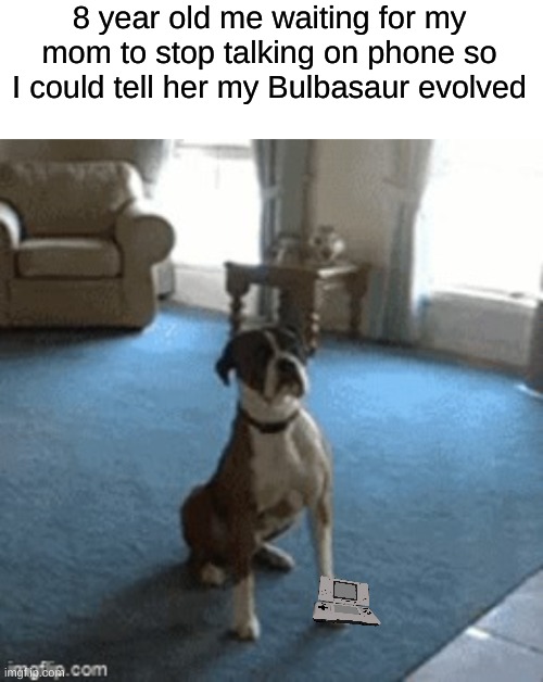 Happy Lil Trees https://youtu.be/GpA9UM7QGag | 8 year old me waiting for my mom to stop talking on phone so I could tell her my Bulbasaur evolved | image tagged in sitting,dog,memes,pokemon | made w/ Imgflip meme maker