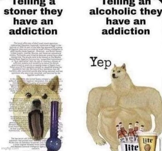 true | made w/ Imgflip meme maker