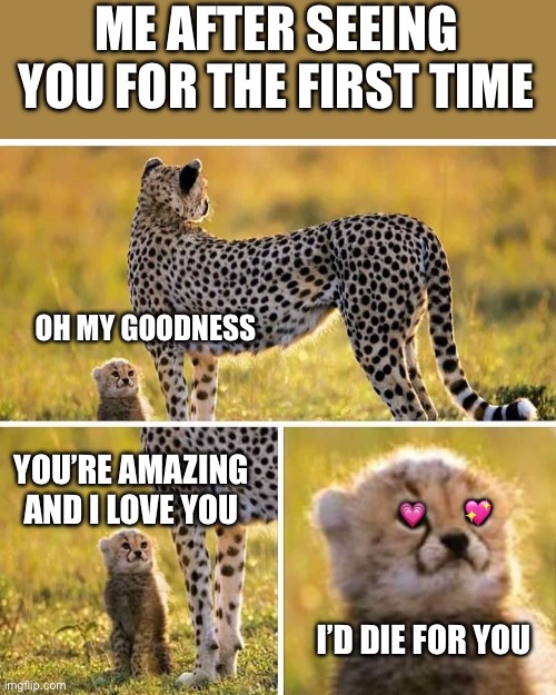 It’s true, god made you so perfect that it’s amazing | ME AFTER SEEING YOU FOR THE FIRST TIME; OH MY GOODNESS; YOU’RE AMAZING AND I LOVE YOU; 💖; 💗; I’D DIE FOR YOU | image tagged in smol cheetah,wholesome | made w/ Imgflip meme maker