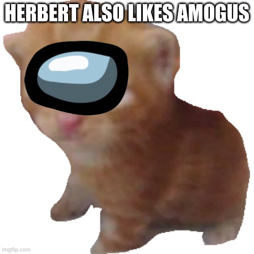 herbert us | HERBERT ALSO LIKES AMOGUS | image tagged in herbert | made w/ Imgflip meme maker