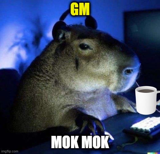 gamer capybara | GM; MOK MOK | image tagged in gamer capybara | made w/ Imgflip meme maker