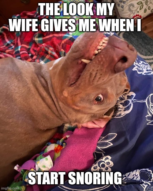 The look my Wife gives me | THE LOOK MY WIFE GIVES ME WHEN I; START SNORING | image tagged in true story | made w/ Imgflip meme maker